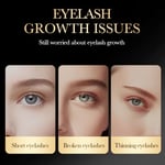 3Pcs Eyelash Growth Serum 20ml Vitamin E Plant Extracts Fast Effective Growth D