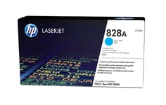 887111323965 HP 828A 1 pc(s) Hewlett-Packard