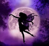 LUOYCXI DIY digital painting adult kit canvas painting bedroom living room decoration painting butterfly elf under the moon-40X40CM