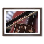 Big Box Art Cello Instrument (2) Framed Wall Art Picture Print Ready to Hang, Walnut A2 (62 x 45 cm)