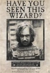 Harry Potter Wanted Sirius Black 61 x 91.5cm Juliste