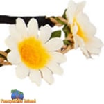 Wicked White Daisy Headband 60's 1960s Flower Adults Fancy Dress