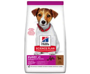 Hills Science Plan Puppy Small & Mini Lamb & Rice - 6 kg
