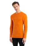 Icebreaker Men's 175 Mid Weight Everyday Top - Long Sleeve Crew T-Shirt - 100% Merino Wool Base Layer - Earth, XXL