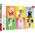 Trefl Puzzle, Chiens, 500 Pièces, Qualité Premium, pour Adultes et Enfants à partir de 10 Ans, 37378