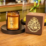 Ron Weasley, Bougie parfumée Harry Potter en cire naturelle de colza, parfum gourmand de citrouille épicée et cannelle, 40h de brûlage, fabriqué en France, idée cadeau