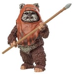 Star Wars Return on the Jedi 40th Anniversary Wicket