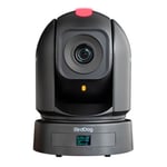 BirdDog P240 NDI PTZ Camera (Black)