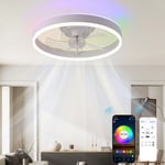 Oihpaw - Plafonnier d'intérieur - Ventilateur de plafond avec lumières rvb et led – Ventilateur de plafond silencieux à intensité variable avec