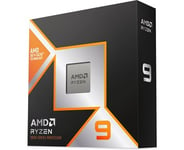 AMD Ryzen 9 9900X3D