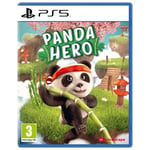 Jeu de plateforme Panda Hero - Mindscape - En boîte - Plateforme Multi-plateforme - Sortie Septembre 2021