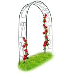 BAKAJI Arche De Jardin Support pour Roses Plantes Rampantes en Métal 153 x 35 x 233H cm Couleur Vert Foncé