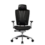 Cooler Master Chaise Ergo L