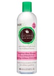 Hask Cucumber Aloe Water Weightless Shine Shampoo