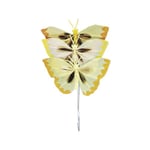 Rayher Plume Papillon Jaune 2 cm