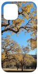 Coque pour iPhone 12/12 Pro Majestic Oak Trees Feuilles Dorées Automne