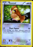 Carte Pokémon 75/106 Roucool 60 Pv Xy Étincelles Neuf Fr