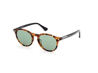 Web Sunglasses WE0328  56N Havana green Man Woman