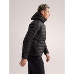 Arc'teryx Cerium Hoody Herre