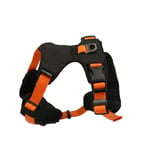 Dogman Sportsele Emmi Svart Orange Small