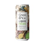 Grass&Co. Liquid Focus (Elderflower, Lemon & Lions Mane) Sparkling Drink 250ml