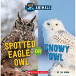 Spotted Eagle-Owl or Snowy Owl (Wild World: Hot and Cold Animals) (häftad, eng)