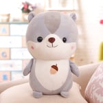 YFFSBBGSDK Jouets en Peluche, poupées 24 cm Mignon écureuil en Peluche poupée en Peluche Oreiller en Peluche Peluche