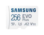 Samsung Evo Plus 256 Go microSD SDXC Carte mémoire flash - Class 10