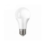 Bellight LED normal 3000K 1000lm E27 12W