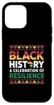 iPhone 12 mini Black History Month Black Pride Melanin African American Case