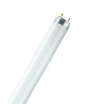 LEDVANCE Ledavance L3076 - Lampe Fluorescent T8 Lumilux