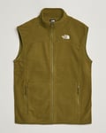 The North Face Glaicer Fleece Vest New Taupe Green