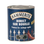 Peinture fer - Noir mat - 750 ml - HAMMERITE