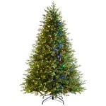 WeRChristmas Pre-lit Windsor Fir Function Christmas Tree with 700 Multi Dual LED Lights, Green, 8 feet/2.4 m