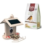 Hibird -  Hibirds Smart Bird Feeder with 1080HD camera  + No Mess wildlife Birdfeed 4 kg