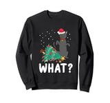 What Cat Knocking Over Christmas Tree Naughty Kitten Lover Sweatshirt