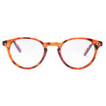 Lunettes de soleil Northweek  HAYES tortoise 1 u