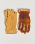 Hestra Noah Wool/Nubuck Primaloft Glove Multi