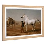 Big Box Art Framed Print of Jacques-Laurent Agasse The Wellesley Grey Arabian Design | Wall Art Picture| Home Decor for Kitchen, Living Room, Bedroom, Hallway, Oak, A2 / 24.5x18 Inch / 62x45cm