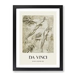 Human Anatomy Vol.1 By Leonardo Da Vinci Exhibition Museum Painting Framed Wall Art Print, Ready to Hang Picture for Living Room Bedroom Home Office Décor, Black A2 (64 x 46 cm)