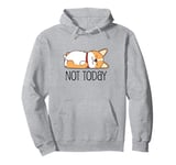 Cute Corgi Gift Funny Dog Lover Not Today Lazy Animal Pullover Hoodie