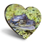 Heart MDF Coasters - Baby Alligator Swamp Wild  #2324