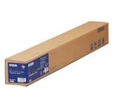 Epson Premium Glossy Photo Paper (170) - fotopapir - blank - 1 rull(er) - Rull (41 9 cm x 30 5 cm)