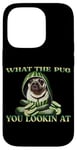 iPhone 14 Pro FUNNY PUG WHAT THE PUG YOU LOOKIN AT DOG SHOW PUG SHOW DOGS Case