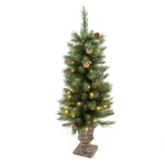 WeRChristmas 4 ft Pre-Lit Potted Christmas Tree with Warm LED Lights and Pine Cones, White