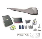 Kit Motorisation Portail Solaire Ducati Home Automation EVE 948T SOLAR MONO - pour portails à 1 vantail battant maxi 5m 500kg