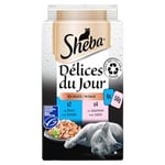 Sheba Délices du Jour – Nourriture humide pour chat adulte - sélection au Saumon et au Thon MSC en sauce – Sachets fraîcheur 72 x 50g