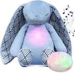 Diddou White Noise Machine Baby Newborn Toys Baby Sleep Night Light Teddy Shusher Newborn Girl Boy Toys Shower Gifts USB Rechargeable