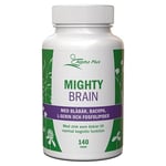 Alpha Plus Mighty Brain