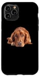 iPhone 11 Pro Lazy Irish setter Case